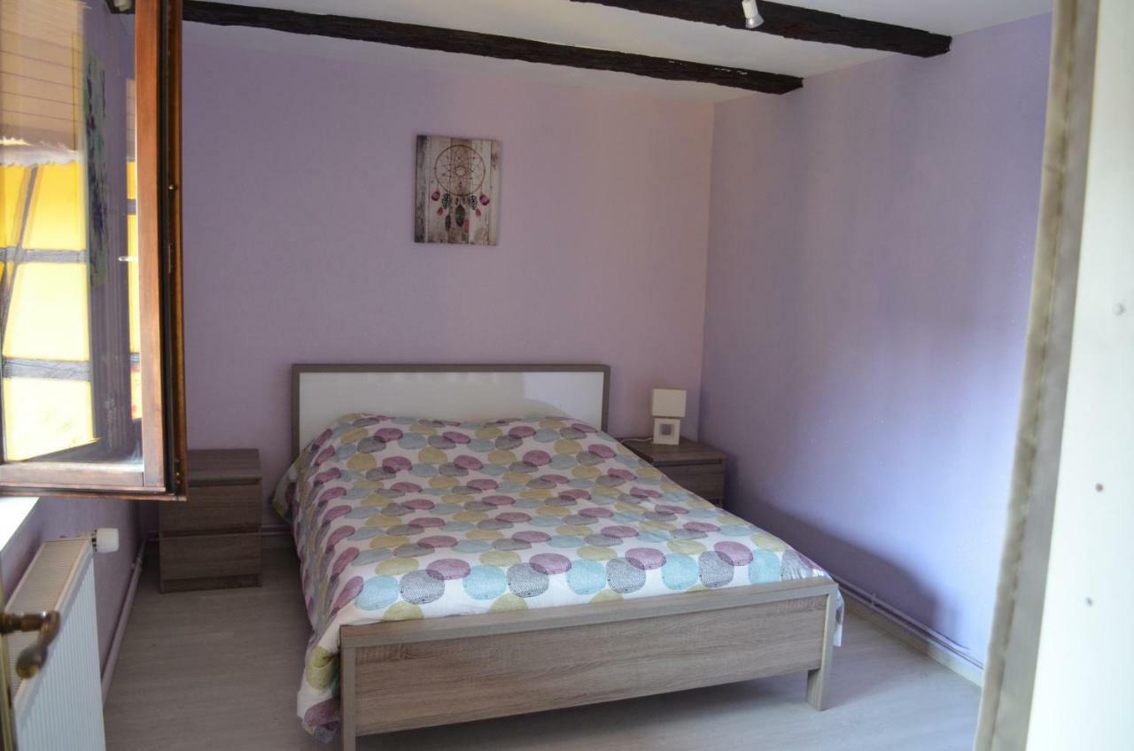 Maison Alsacienne A Andolsheim Apartment Ngoại thất bức ảnh